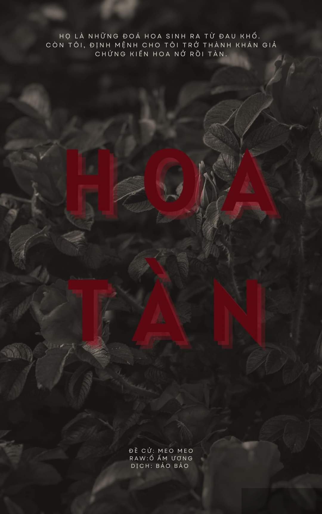 Hoa Tàn