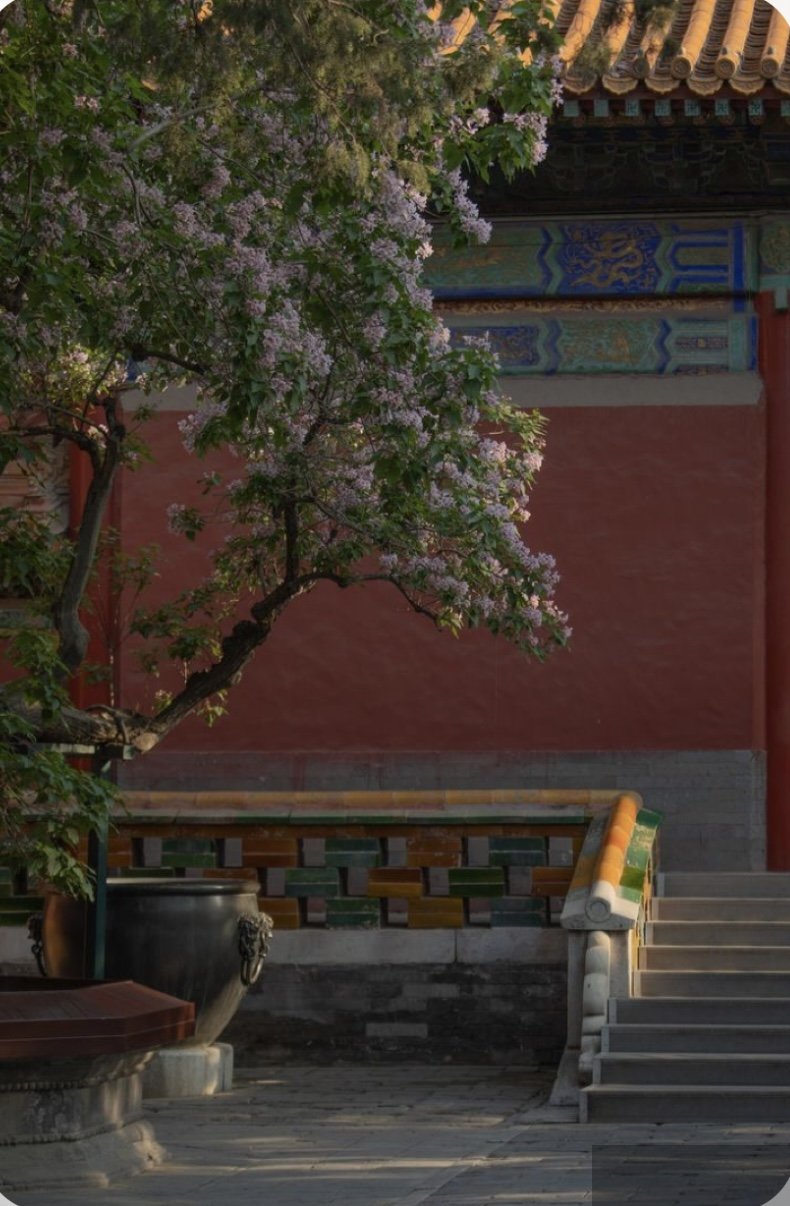 Thâm Cung Cố Sự